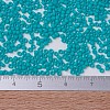 MIYUKI Delica Beads SEED-J020-DB0793-4