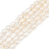 Natural Cultured Freshwater Pearl Beads Strands PEAR-P064-20E-05A-2