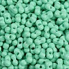 Baking Paint Glass Seed Beads X1-SEED-K010-A07-2