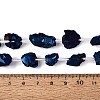 Electroplate Raw Rough Natural Amethyst Beads Strands G-Q610-06A-5