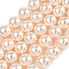 Electroplated Shell Pearl Beads Strands BSHE-G041-10mm-04-1