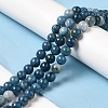 Natural Dyed Jade Beads Strands G-M402-C03-3