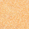 12/0 FGB Grade A Round Glass Seed Beads SEED-N001-F-231-2