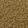MIYUKI Delica Beads X-SEED-J020-DB0771-3