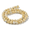 Natural Trochus Shell Beads Strands BSHE-P033-03B-4