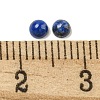 Natural Lapis Lazuli Cabochons G-Q173-01A-11-3