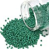MIYUKI Round Rocailles Beads SEED-X0054-RR4477-1