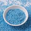 MIYUKI Round Rocailles Beads X-SEED-G008-RR0221-2