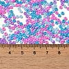 Baking Paint Glass Seed Beads SEED-P006-03A-19-4