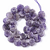 Natural Amethyst Beads Strands G-T130-12-2