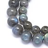 Natural Labradorite Beads Strands G-F602-04-10mm-3