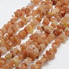 Natural Red Aventurine Beads Strands G-F328-09-1