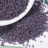 MIYUKI Delica Beads X-SEED-J020-DB0662-1