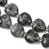 Natural Labradorite Beads Strands G-B022-32C-A-3
