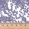 TOHO 6/0 Round Beads SEED-XTR06-0265-4