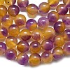 Natural Malaysia Jade Beads Strands G-L645-C01-10mm-32-4