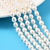 Natural Cultured Freshwater Pearl Beads Strands PEAR-I007-01D-02A-1