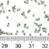 FGB 11/0 Grade A Glass Seed Beads X-SEED-S030-1217-4