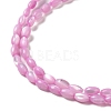 Natural Trochus Shell Beads Strands SHEL-K006-19-4