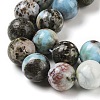 Natural Larimar Beads Strands G-P524-A02-03-4