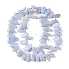 Natural Blue Lace Agate Beads Strands G-J403-03-2