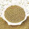 11/0 FGB Grade A Dyed Glass Seed Beads X-SEED-N001-C-0561-2