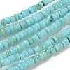 Dyed Natural Freshwater Shell Beads Strands X1-BSHE-G039-07C-1