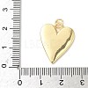 Brass Resin Pendants KK-L239-070G-4