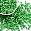 Baking Paint Glass Seed Beads SEED-A032-02B-1