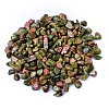 Natural Unakite Tumbled Chips PW-WGA7DCE-13-1