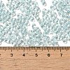 Glass Seed Beads SEED-K009-04A-01-4