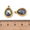 Natural Paua Shell Pendants SA-CBA11D7-15B-G-3