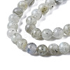 Natural Labradorite Round Beads Strands G-S158-4mm-3
