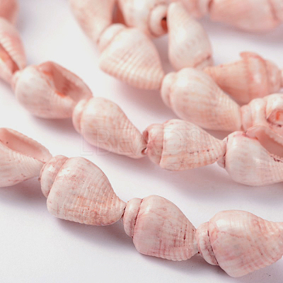 Natural Sea Shell Conch Bead Strands X-BSHE-O009-11-1
