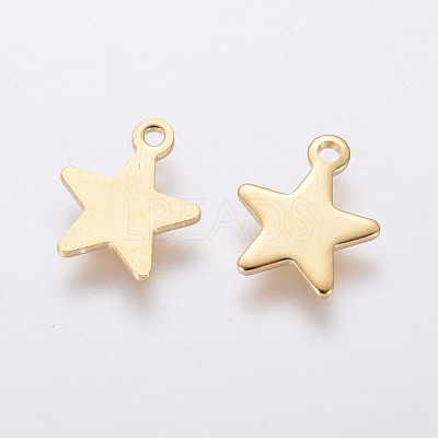 304 Stainless Steel Charms STAS-L234-069G-1