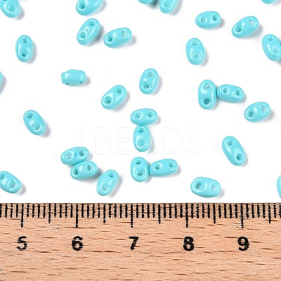Baking Paint Glass Seed Beads SEED-T006-03H-1
