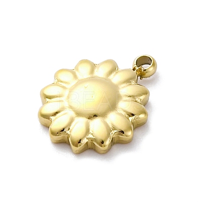304 Stainless Steel Charms STAS-S163-08A-G-1