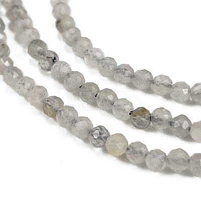 Natural Labradorite Beads Strands G-I341-11A-1