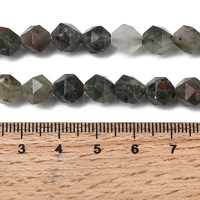 Natural African Bloodstone Beads Strands G-Z119-A28-02-1