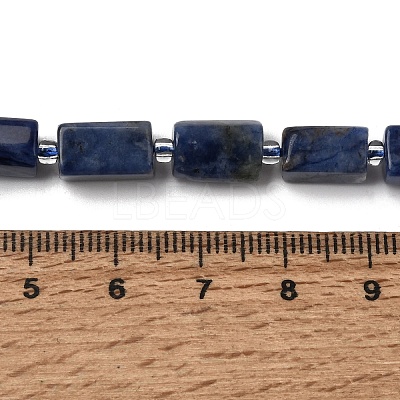 Natural Sodalite Beads Strands GG-CBA56E5-02-1