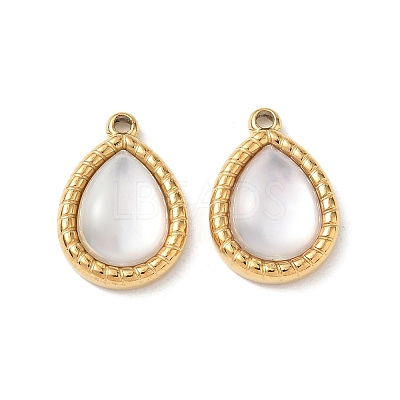 Natural Freshwater Shell Pendants SA-CBA11D7-15A-G-1