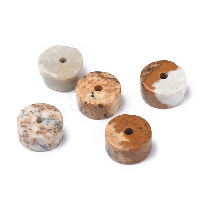 Natural Picture Jasper Beads Strands G-Z006-C28-1