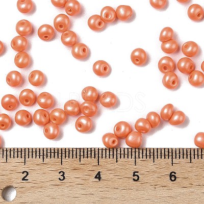 6/0 Glass Seed Beads X1-SEED-L011-08A-20-1