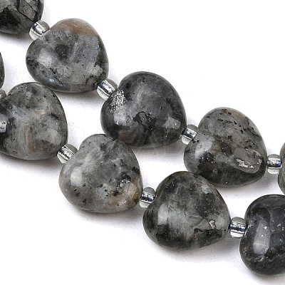 Natural Labradorite Beads Strands G-B022-32C-A-1