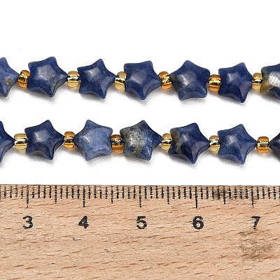 Natural Sodalite Beads Strands G-Z080-A28-8mm-1