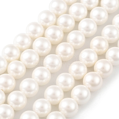 Shell Pearl Bead Strands BSHE-L026-03-6mm-1