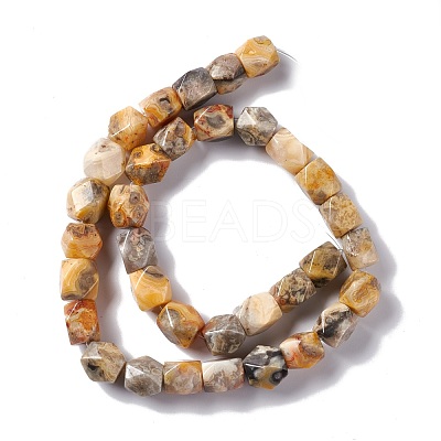 Natural Crazy Lace Agate Beads Strands G-L235B-12-1