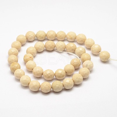 Natural Fossil Round Bead Strands X-G-O151-02-6mm-1
