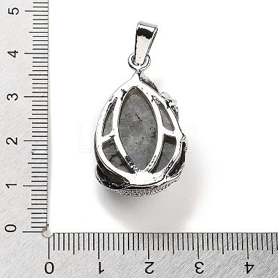 Natural Labradorite Teardrop Pendants G-G112-03P-09-1