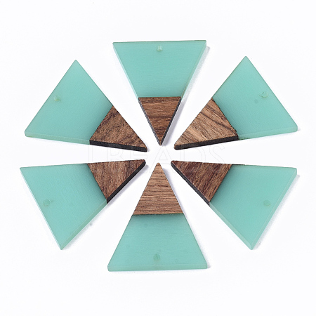 Transparent Resin & Walnut Wood Pendants RESI-T035-06B-A-1